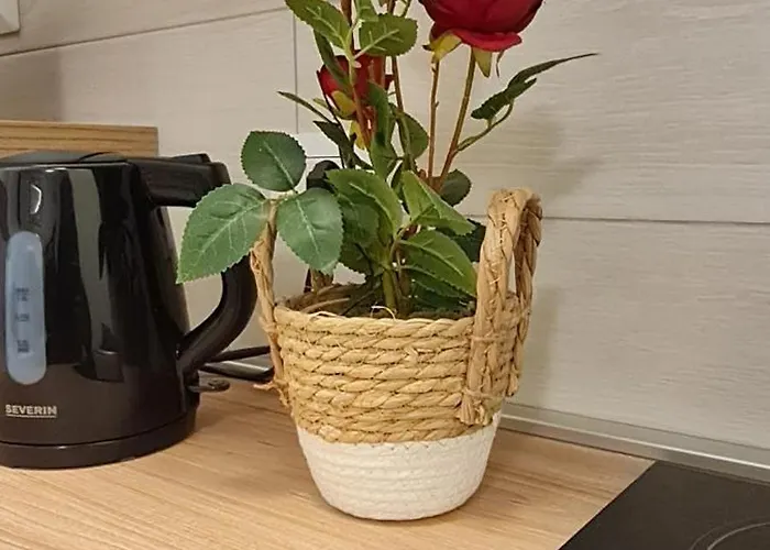 Gruppo Aedes Alghero, Residenza Lido - 80 Mt Dalla Alghero