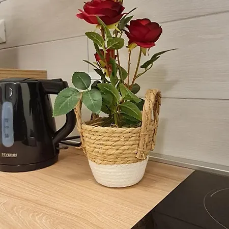 Gruppo Aedes Alghero, Residenza Lido - 80 Mt Dalla Alghero